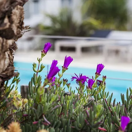 Les Bois Flottais 4* Le Bois-Plage-en-Ré