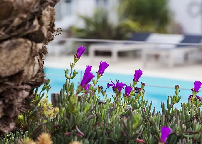 Les Bois Flottais 4* Le Bois-Plage-en-Re